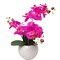 13-Inch Fuchsia Phalaenopsis Orchid Flowers in 5-Inch Round White Vase Lifelike Floral Décor for Home, Office, and Event Displays, Floral Home by Artificial Flowers